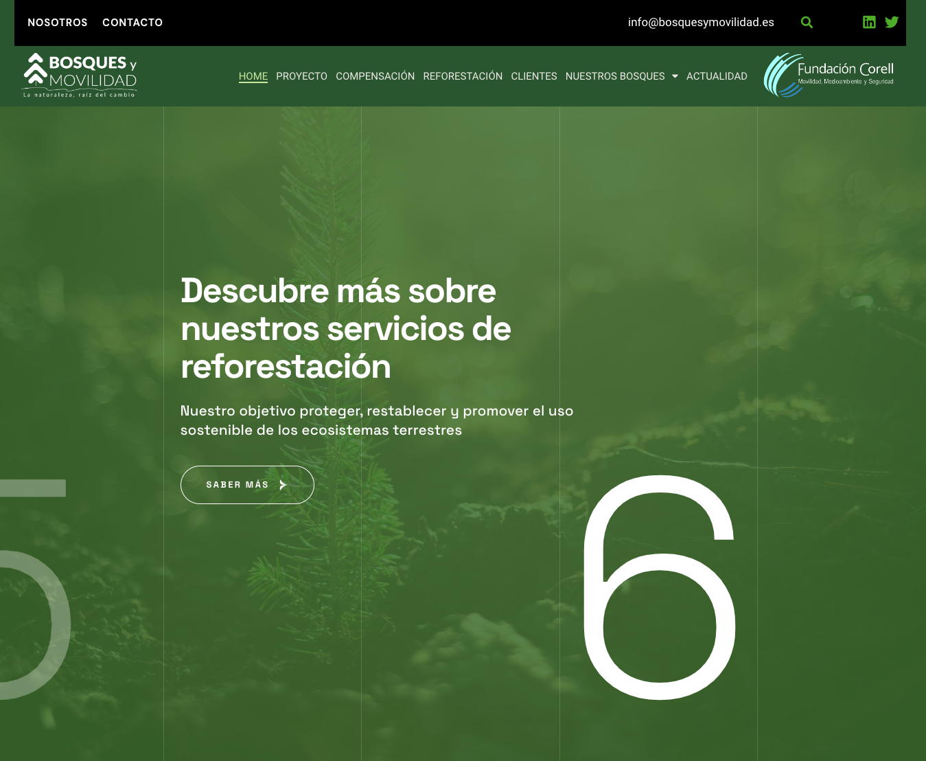 Pantallazo Web bosquesymovilidad.es